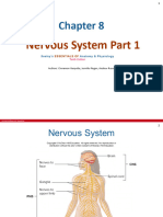 Chapter 8 Nervous System - Part 1 - 2