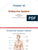 Chapter 10 - Endocrine System