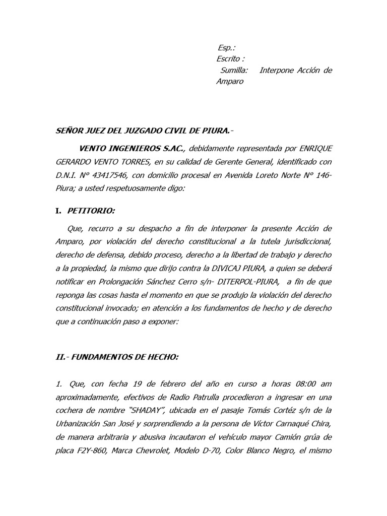 Accion de Amparo | PDF | Demanda judicial | Debido al proceso