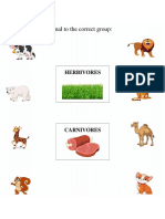 Carnivores, Herbivores, Omnivores Worksheet