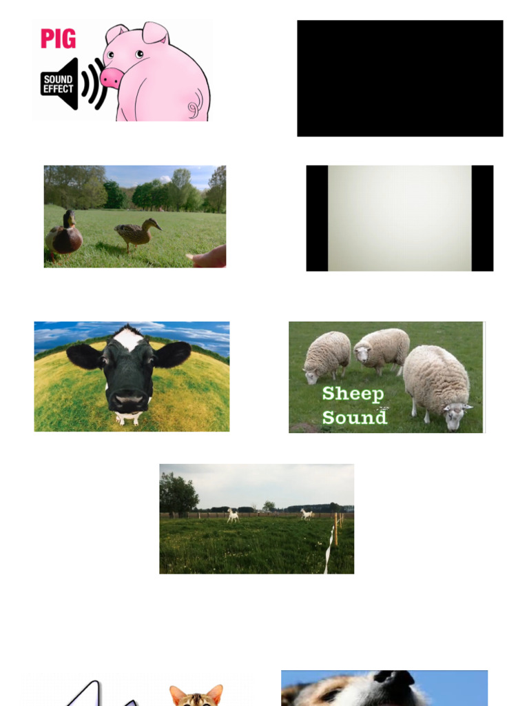 sounds of farm animal