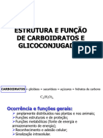 3 - Estrutura e Função de Carboidratos