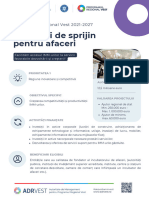 Structuri de Sprijin Pentru Afaceri