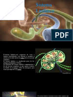 Sistema Linfatico