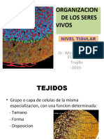 Organizacion de Los Seres Vivos Tejidos