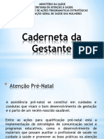 Caderneta Da Gestante MS Cópia