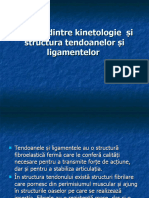 Kinetologie 3