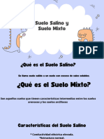 Suelo Salino y Suelo Mixto - 20230905 - 220723 - 0000