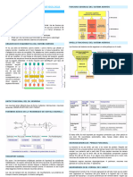 Fisiologia 2 Neuro