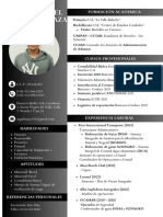 CV Angel Maza PDF