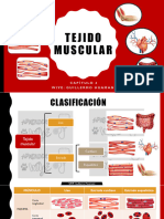 05.3 Tejido Muscular 2024 PDF