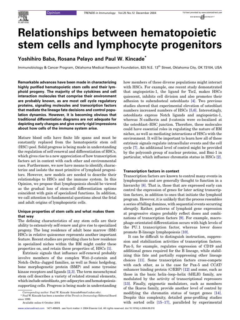 Linfopoyesis | PDF | Hematopoietic Stem Cell | Haematopoiesis
