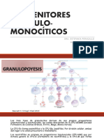 Granulo Monopoyesis