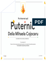 Google - Interland - Delia Mihaela Cojocaru - Certificat - de - Putere