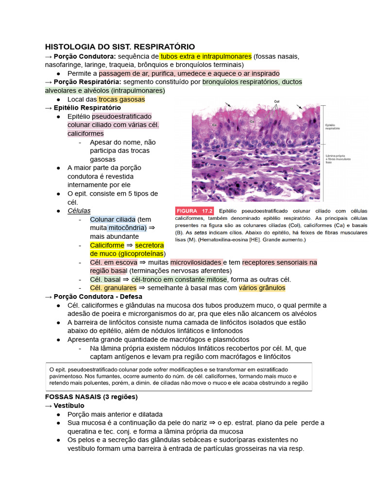 Lecture Piano CE1 - Cahier