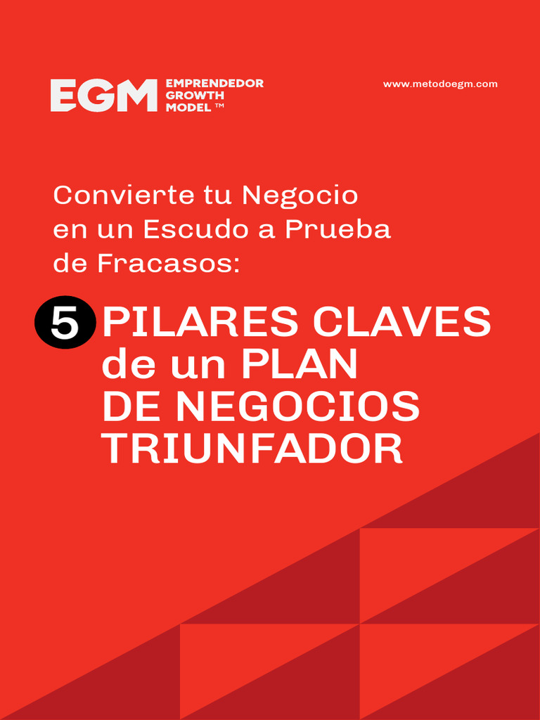 LM Negocio Triunfador | PDF | Plan de negocios | Cliente
