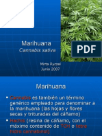 Marihuana - Cannabis