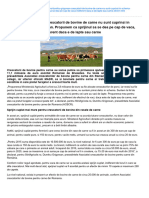 Stiriagricole - Ro-Dumitru Grigorean Crescatorii de Bovine de Carne Nu Sunt Cuprinsi in Schema de Ajutor European Propun