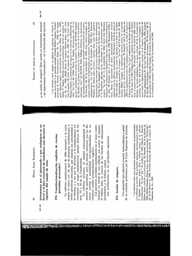 Art 43 CN - Comentario - Miguel Angel Ekmekdjian | PDF