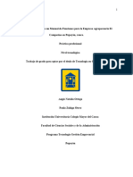 Practica Profesional Manual de Funciones 1.