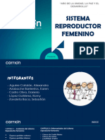 PFD Sistema Reproductor Femenino