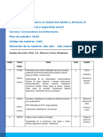 Planificacion Atencion de Enfermeria en Salud Del Adulto y Anciano Ii. 2024 TM