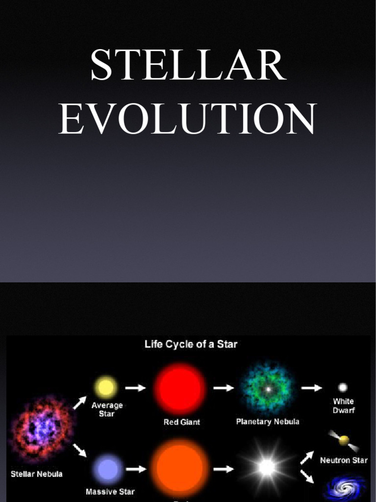 Stellar Evolution | PDF | Stars | Chemical Elements