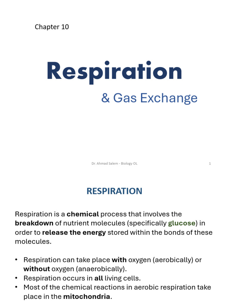 Respiration and Gas Exchange Overview | PDF | Cellular Respiration ...
