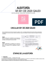 Capacitacion Gaudi 2022 Equipo Auditoria SMP