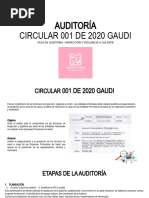 Guía de Auditoría Institucional GAUDI | PDF | Auditoría | Bogotá
