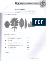 Cambridge Science Y9 Workbook + Worksheet Unit 3-4 Student