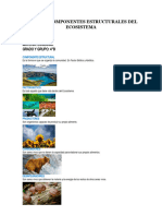 Resumen Componentes Estructurales Del Ecosistema