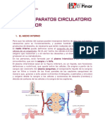 BG 3º Eso Aparato Circulatorio y Excretor