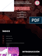 Herpesvirus 1