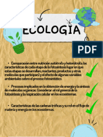 Ecología Repaso Paes