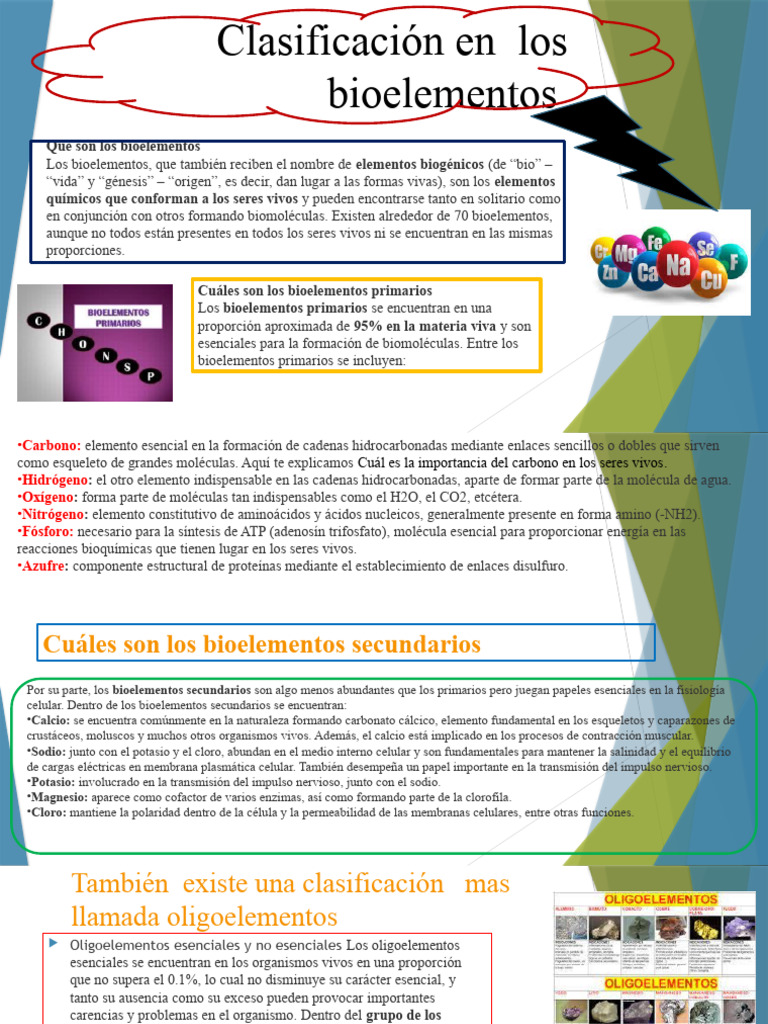 Clasificación en Los Bioelementos | PDF | Biomoléculas | Organismos