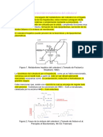 Control Metabolismo Colesterol 2