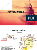 Clase Control Motor Biol172