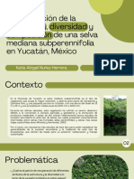 Recuperación de La Estructura, Diversidad y Composición de Una Selva Mediana Subperennifolia en Yucatán, México