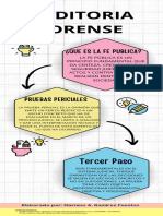 Auditoria Forense 