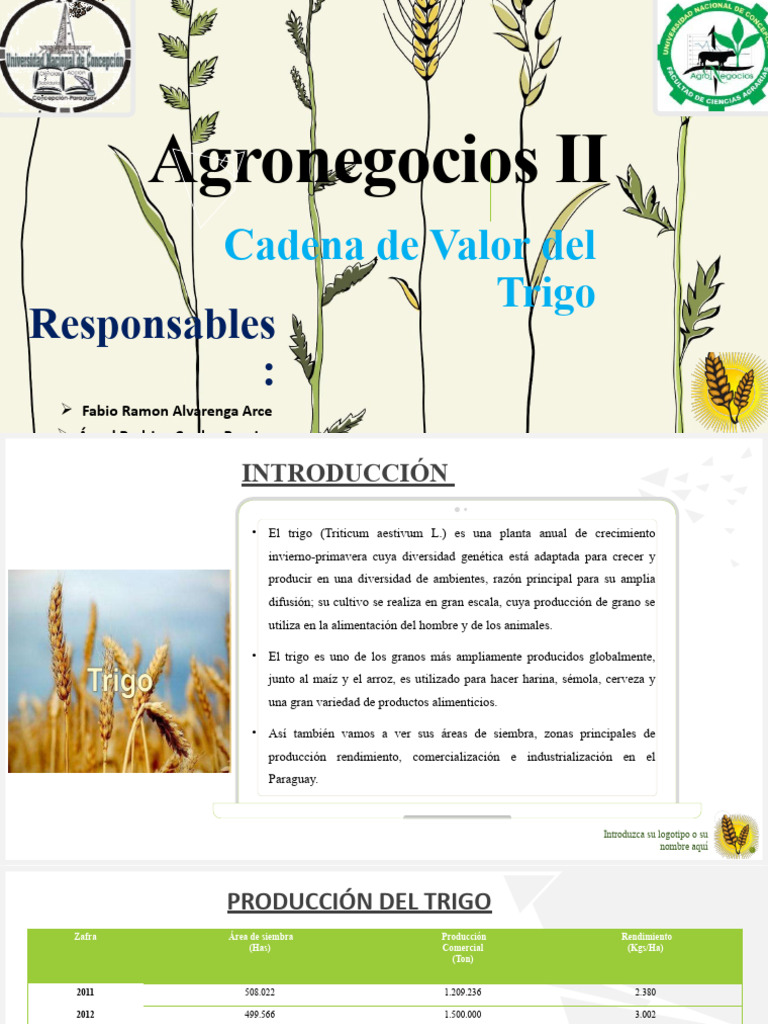Cadena de Valor del Trigo en Paraguay | PDF | Trigo | Harina