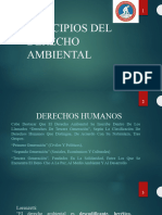 Principios Del Derecho Ambiental