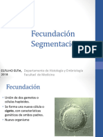 Fecundación Segmentación 2018