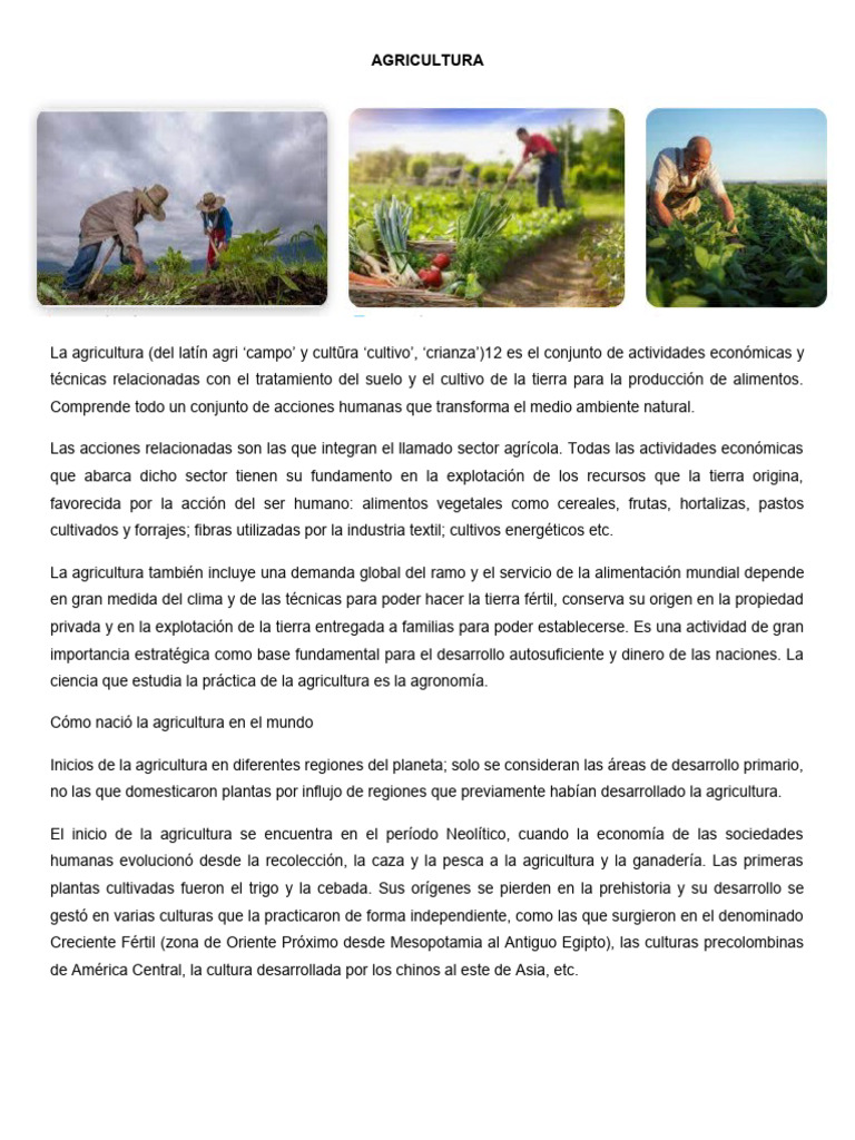 Agricultura y Ganaderia | PDF | Agricultura | Comida y bebida