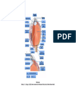 Anatomía Ojo