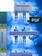 Tema 2 Kinesiologia Estructural (Autoguardado)