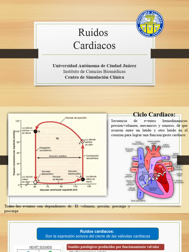Ruidos Cardiacos | PDF