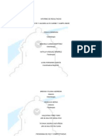 Informe Comite de Avance LL Semestre 2015