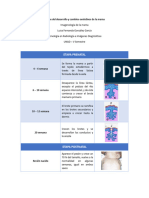 Desarrollo Fase 2