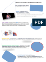 Enfermedades Que Sufre Una Persona Con Consumo de Alcohol